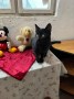 Oliver (5)